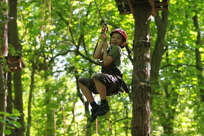 Park linowy Bluszcz